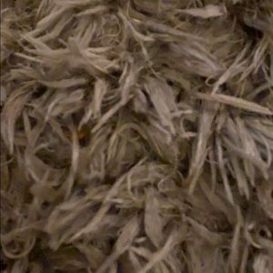 Meet your Posher, Eileen